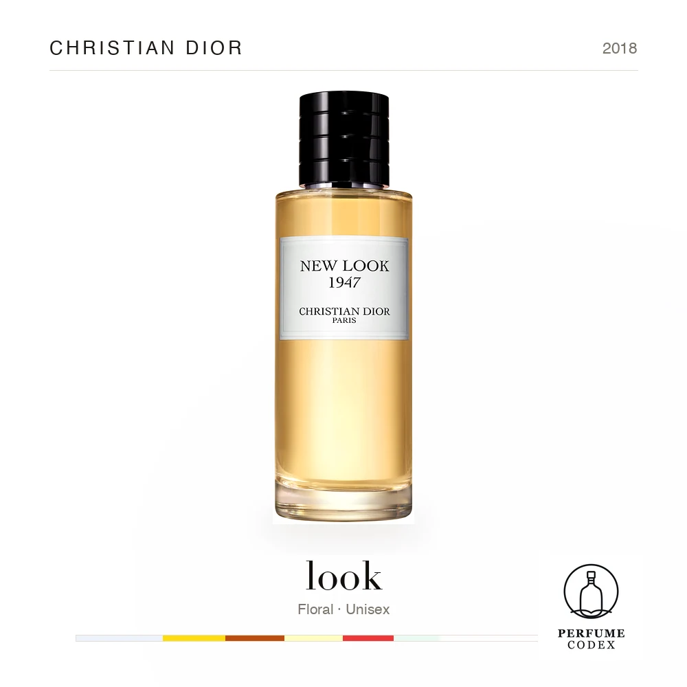 Christian Dior look